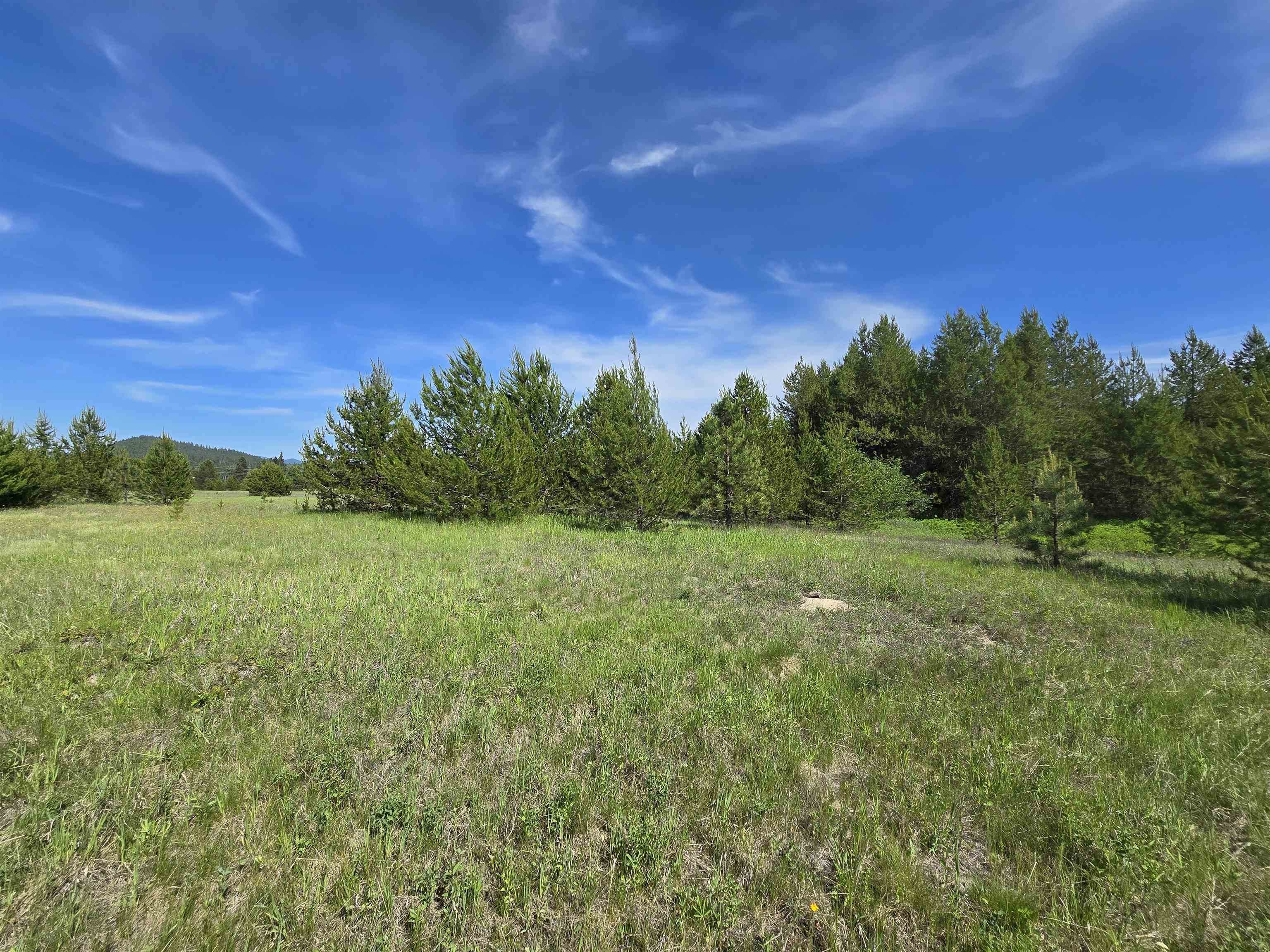 2040 Westside Calispel Road Usk, WA 99180 - Photo 25 of 26