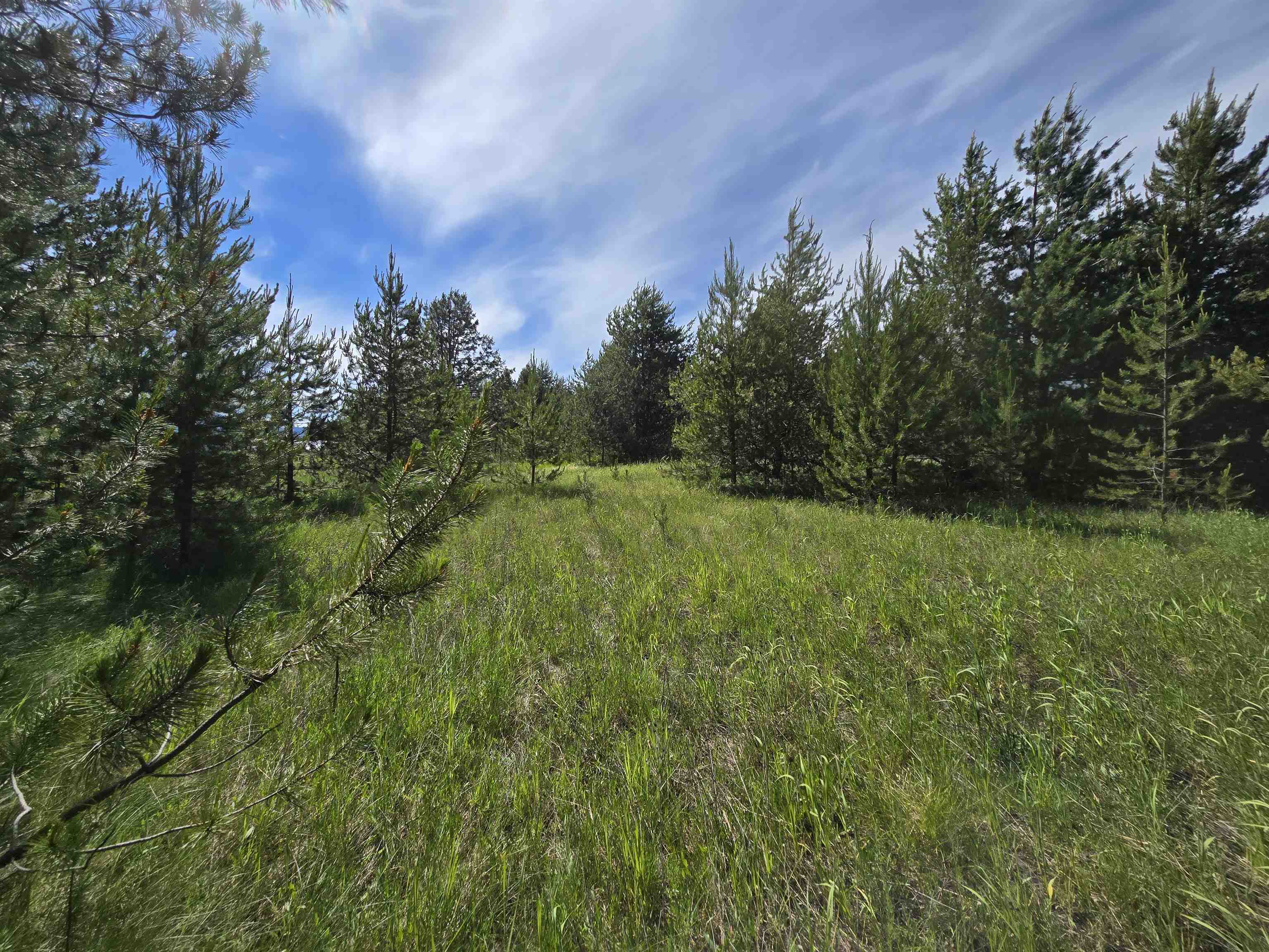 2040 Westside Calispel Road Usk, WA 99180 - Photo 8 of 26