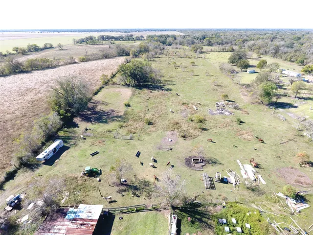 a view of a dry yard with trees