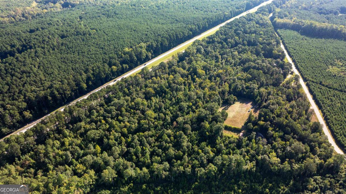1901 Grey Land Road Greensboro, GA 30642 - Photo 11 of 36 a view of a green yard with potted plants