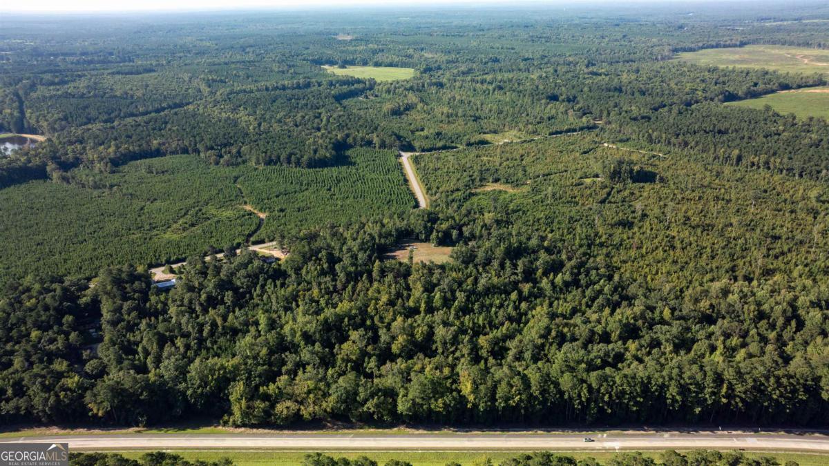 1901 Grey Land Road Greensboro, GA 30642 - Photo 13 of 36 an aerial view of residential house with outdoor space