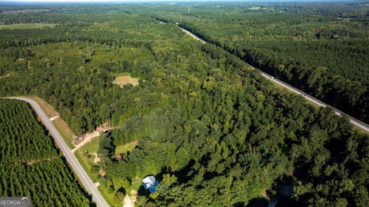 1901 Grey Land Road Greensboro, GA 30642 - Photo 15 of 36 a view of a forest from a balcony