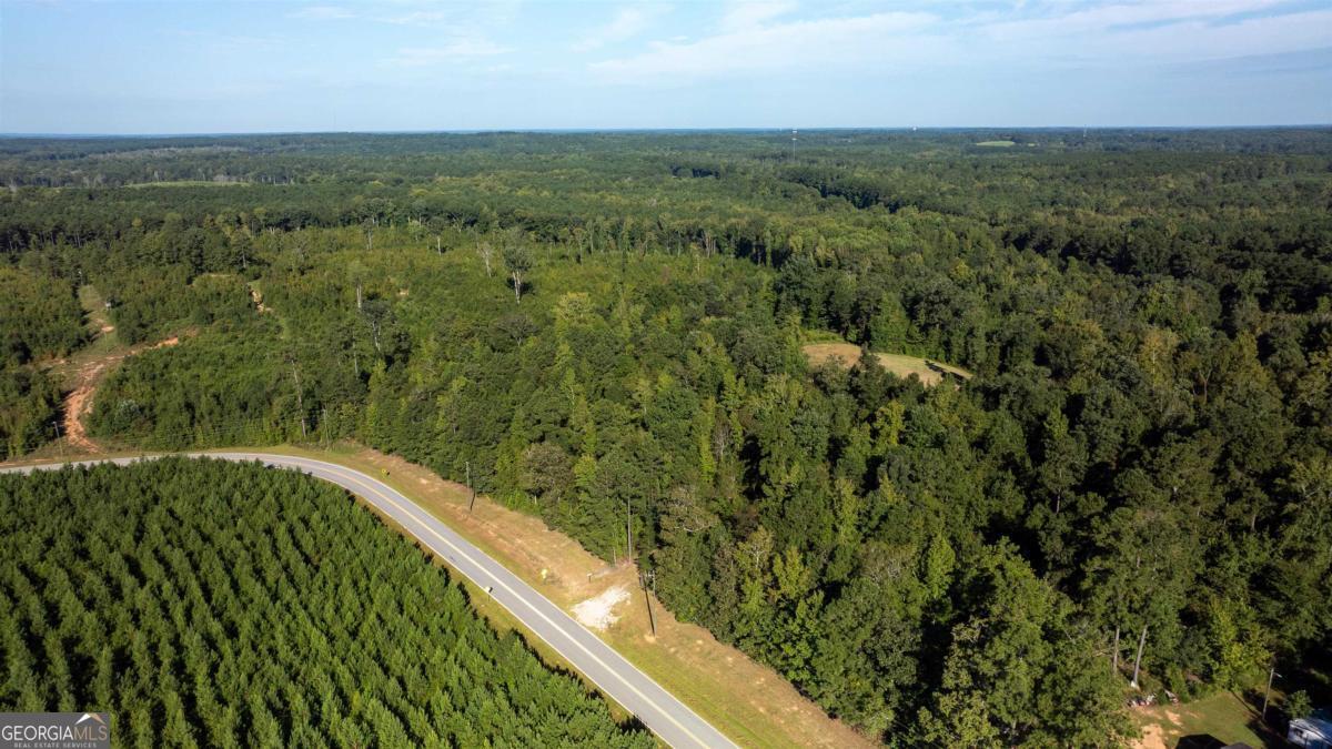 1901 Grey Land Road Greensboro, GA 30642 - Photo 16 of 36 a view of a lush green forest with a lake