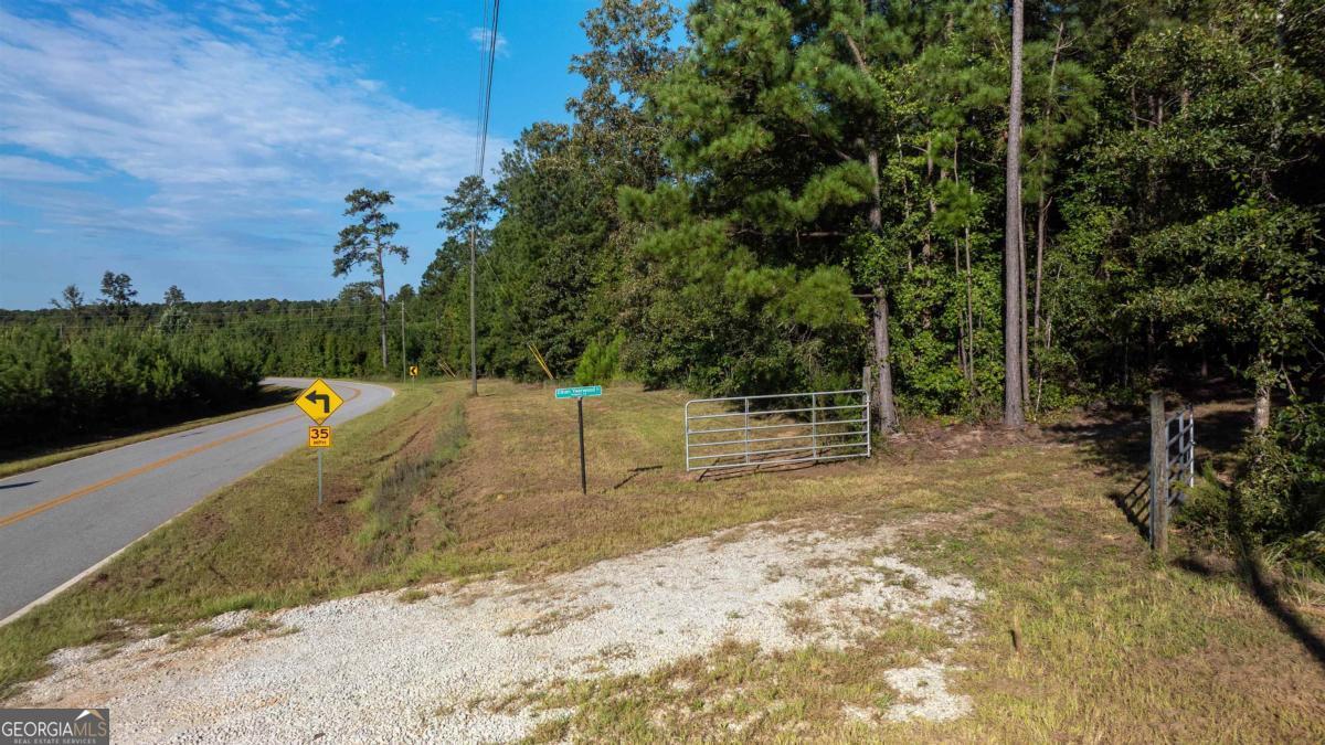 1901 Grey Land Road Greensboro, GA 30642 - Photo 18 of 36 a park view with a entertaining space