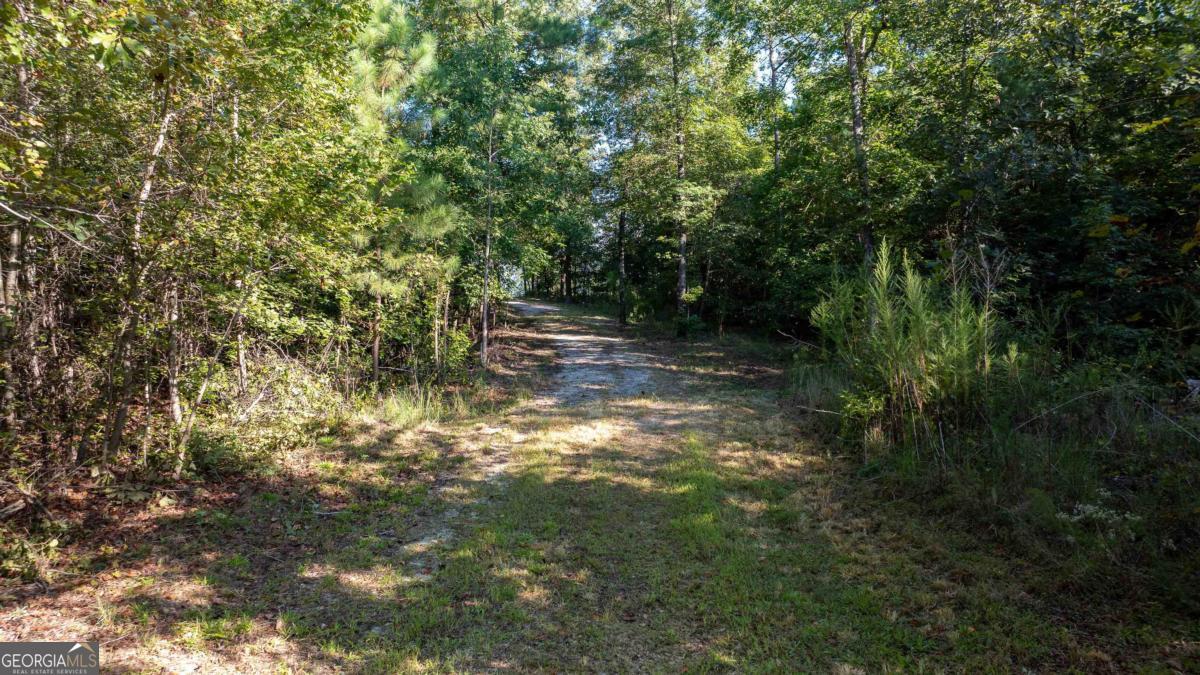 1901 Grey Land Road Greensboro, GA 30642 - Photo 20 of 36 a view of a yard with trees