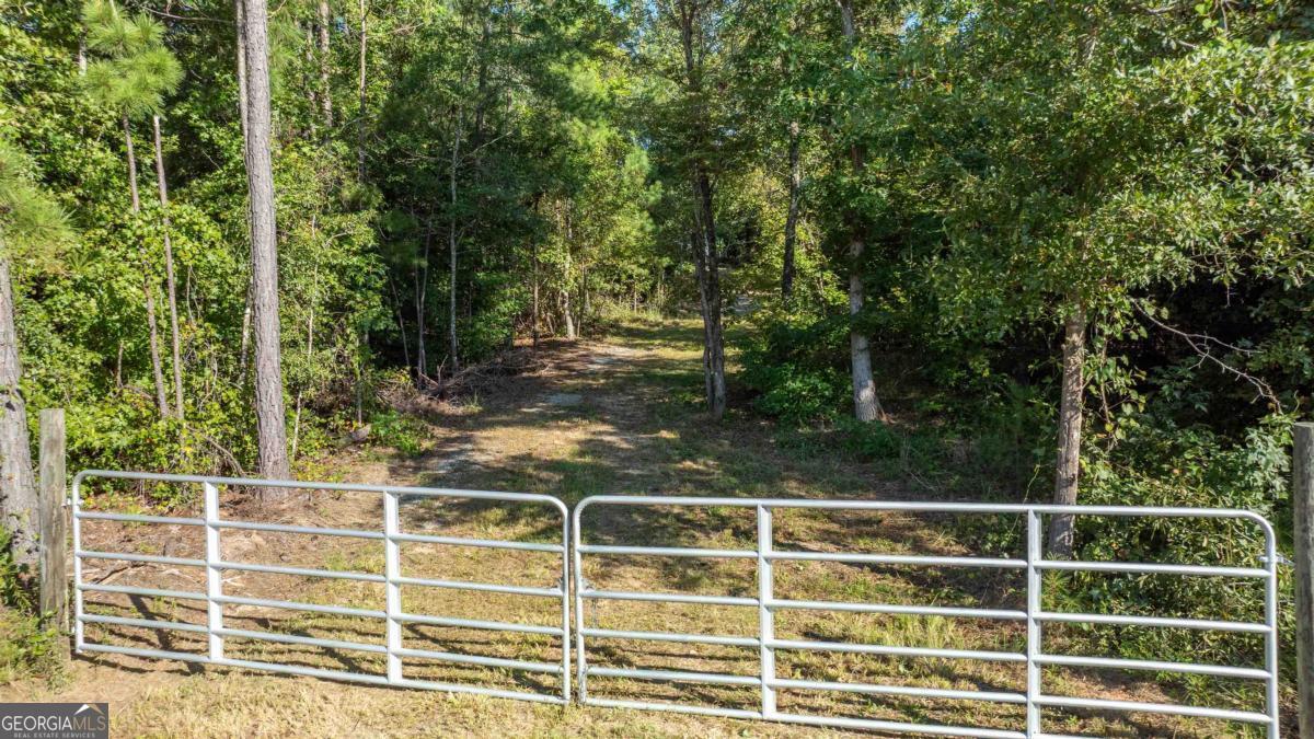 1901 Grey Land Road Greensboro, GA 30642 - Photo 2 of 36 a view of a house with a yard