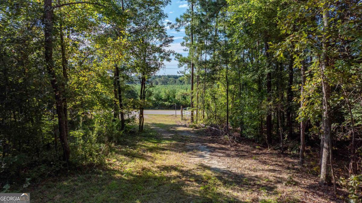 1901 Grey Land Road Greensboro, GA 30642 - Photo 21 of 36