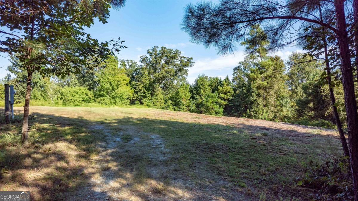 1901 Grey Land Road Greensboro, GA 30642 - Photo 22 of 36 a view of a yard with a tree