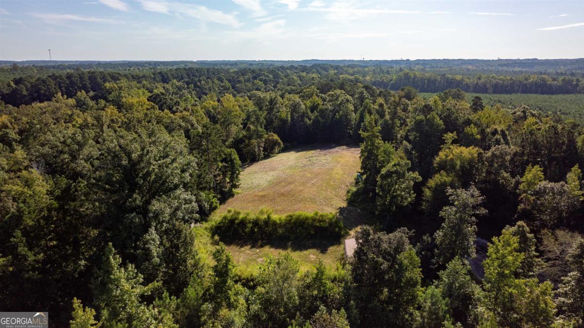 1901 Grey Land Road Greensboro, GA 30642 - Photo 24 of 36 a view of a forest with a forest
