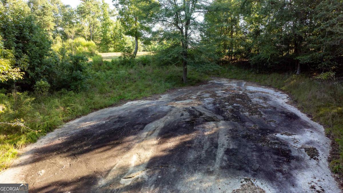 1901 Grey Land Road Greensboro, GA 30642 - Photo 25 of 36 a view of a street with a forest