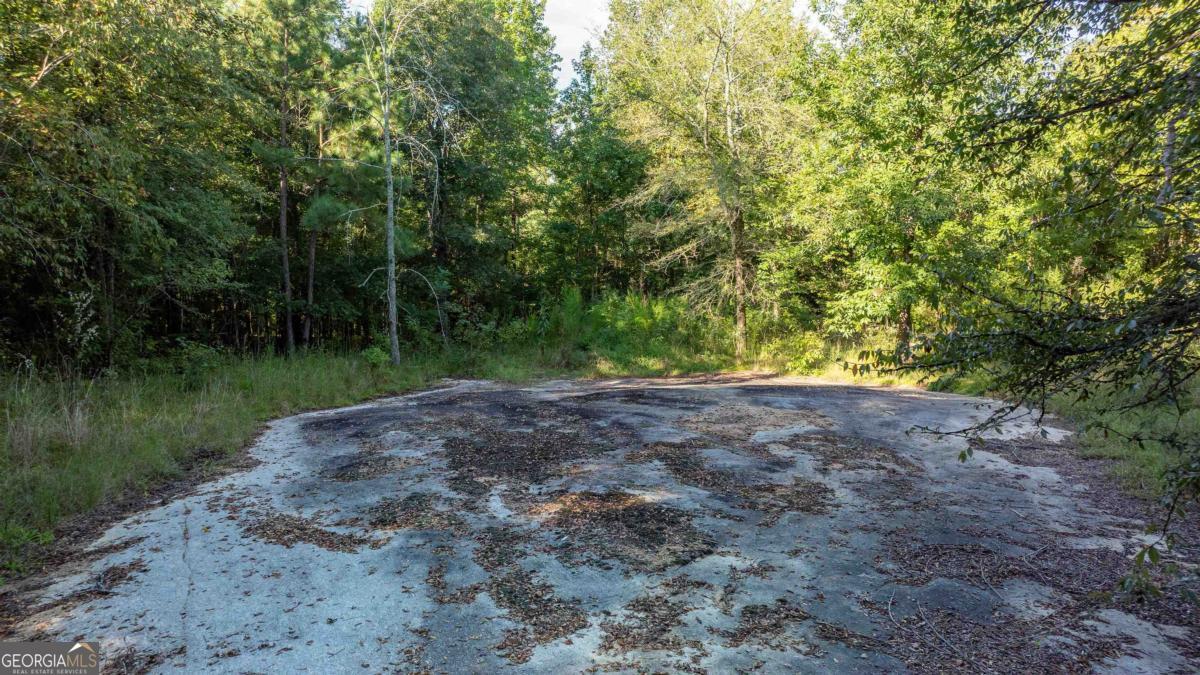 1901 Grey Land Road Greensboro, GA 30642 - Photo 26 of 36 a view of outdoor space and yard