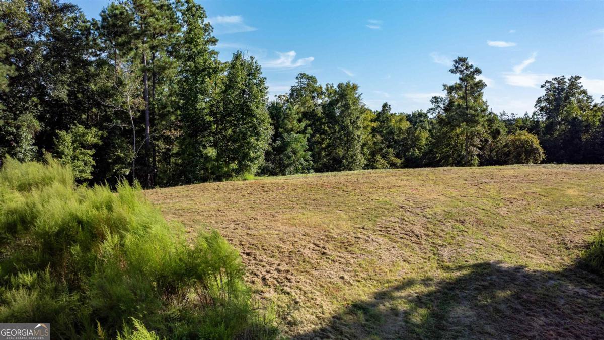 1901 Grey Land Road Greensboro, GA 30642 - Photo 28 of 36 a view of an outdoor space and a yard