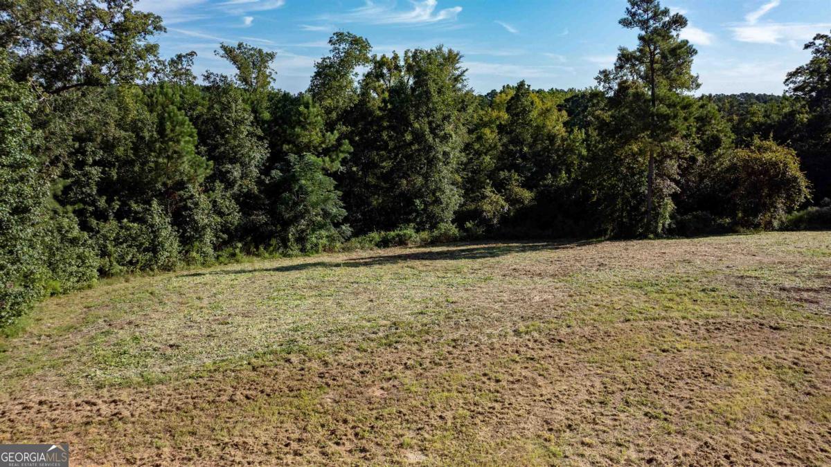 1901 Grey Land Road Greensboro, GA 30642 - Photo 29 of 36 a view of a yard