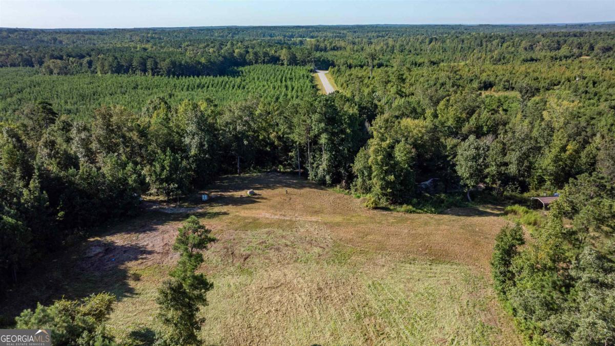 1901 Grey Land Road Greensboro, GA 30642 - Photo 30 of 36 a view of outdoor space and yard