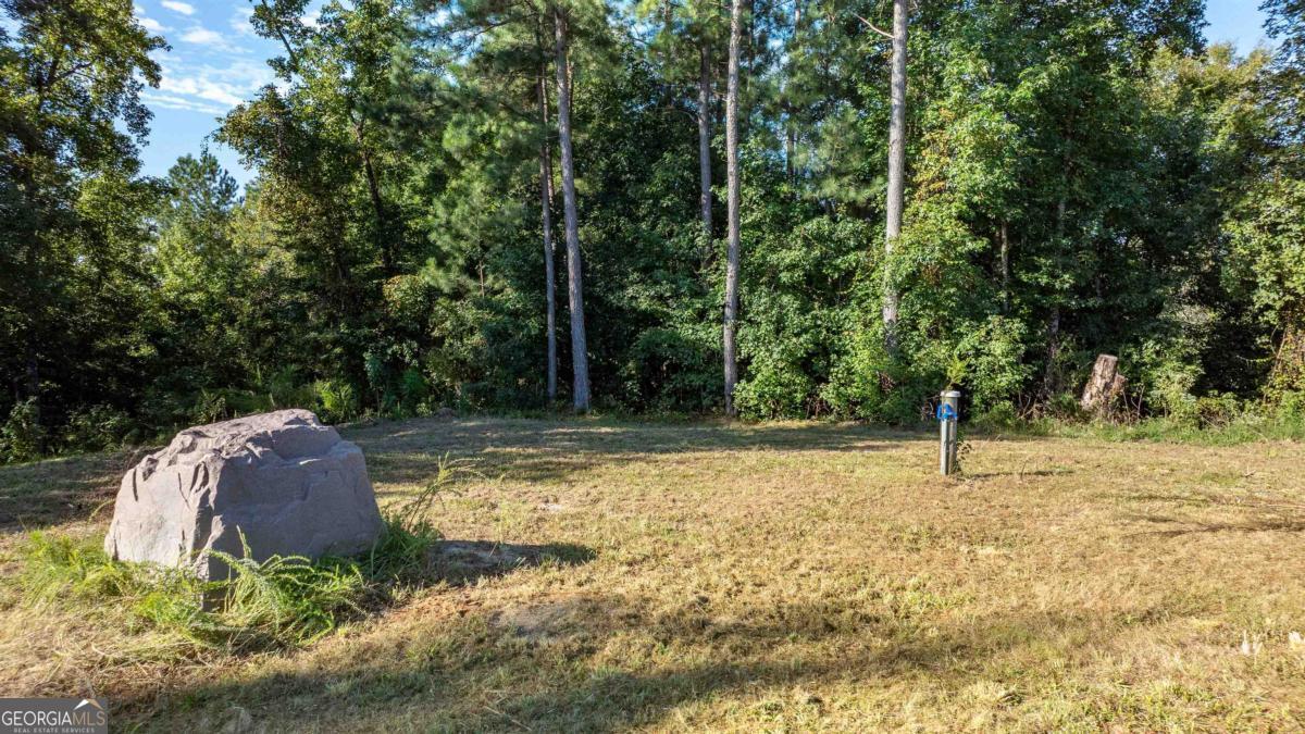 1901 Grey Land Road Greensboro, GA 30642 - Photo 31 of 36 a view of a backyard