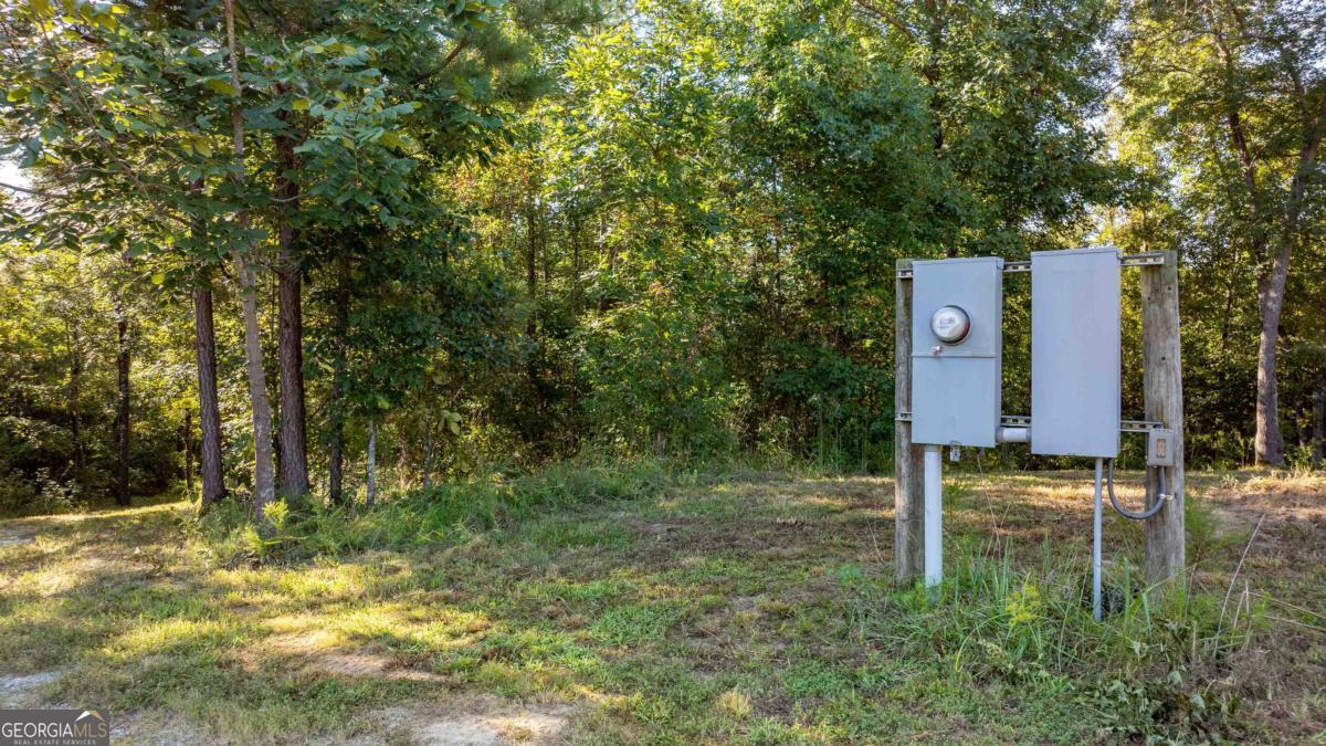 1901 Grey Land Road Greensboro, GA 30642 - Photo 32 of 36 a backyard of a house with lots of plants and large tree