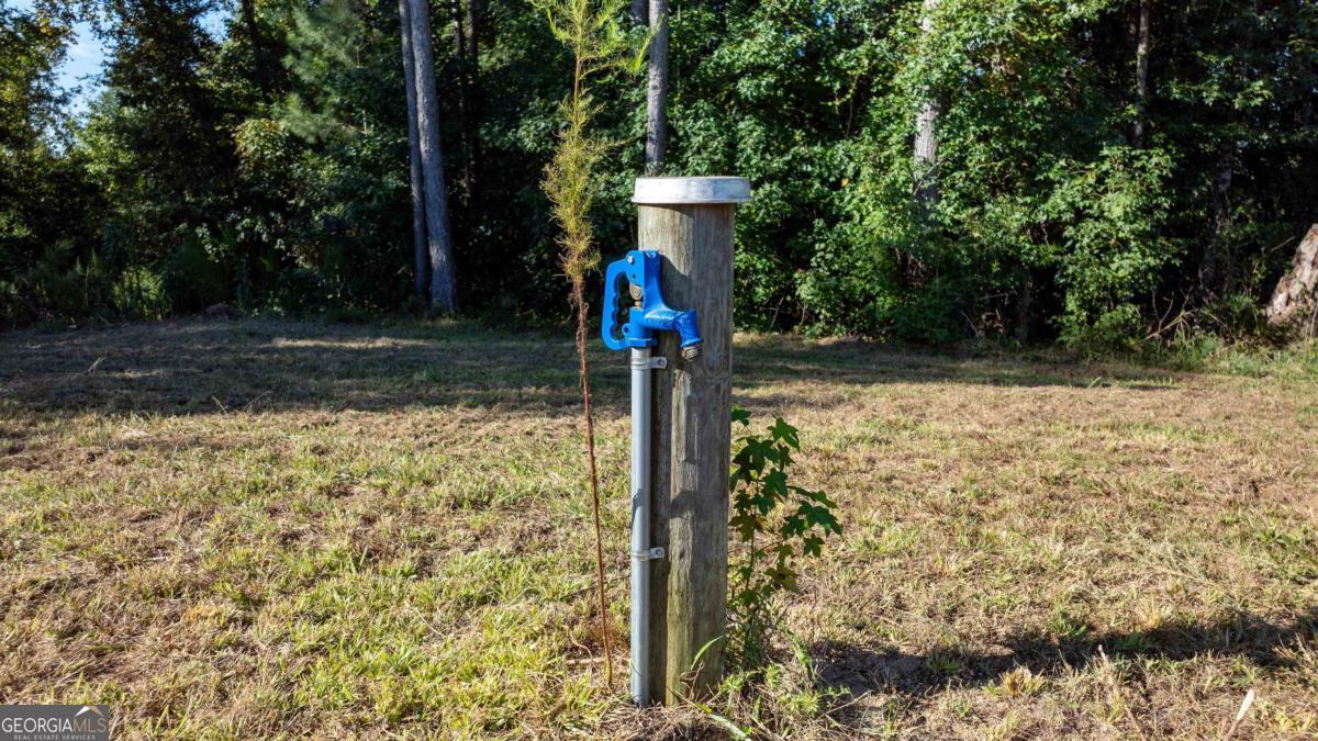 1901 Grey Land Road Greensboro, GA 30642 - Photo 33 of 36 a front view of a house with a yard and trees