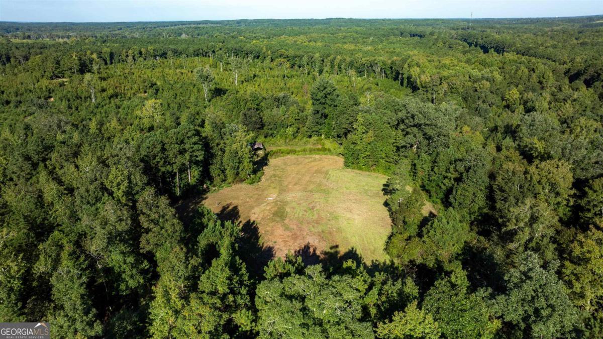 1901 Grey Land Road Greensboro, GA 30642 - Photo 9 of 36 a view of a lush green forest with a lush green forest