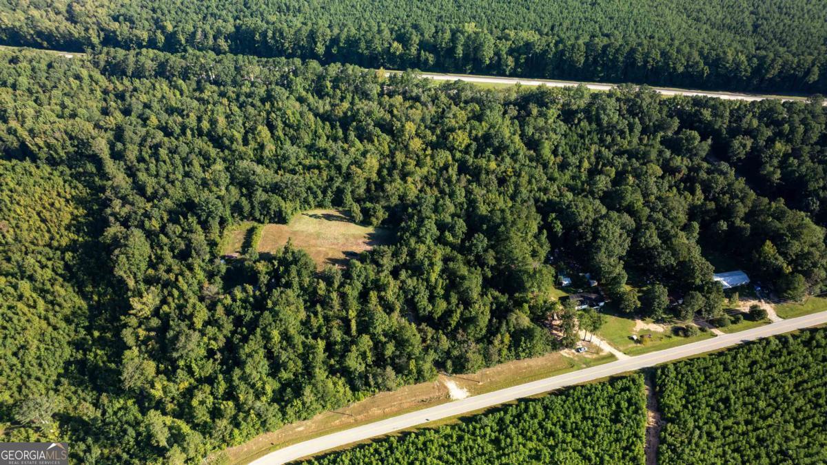 1901 Grey Land Road Greensboro, GA 30642 - Photo 10 of 36 a view of a yard with plants and wooden fence