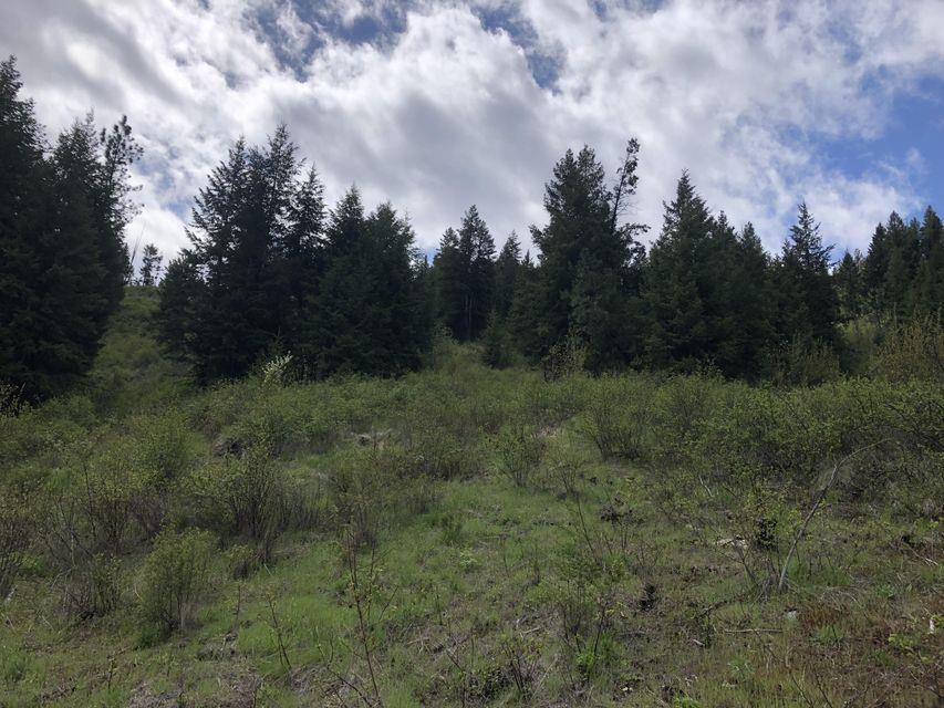 Xxx Kiehl Road Curlew, WA 99118 - Photo 3 of 12 Gallery Image 3
