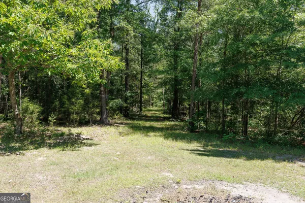 $309,000 | 6404 Cartledge Road, Box Springs, GA 31801