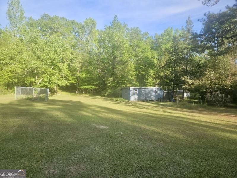 6404 Cartledge Road Box Springs, GA 31801 - Photo 9 of 9