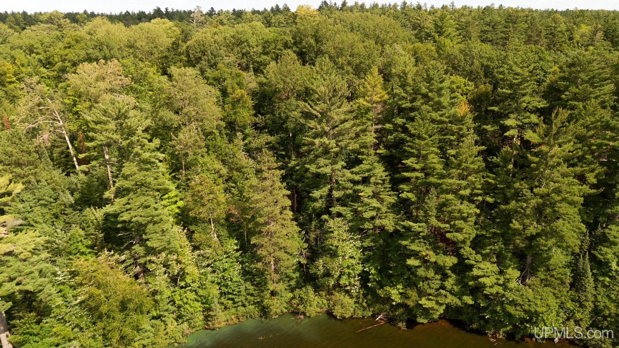 Tbd West Paint Lake Road Iron River, MI 49935 - Photo 14 of 14