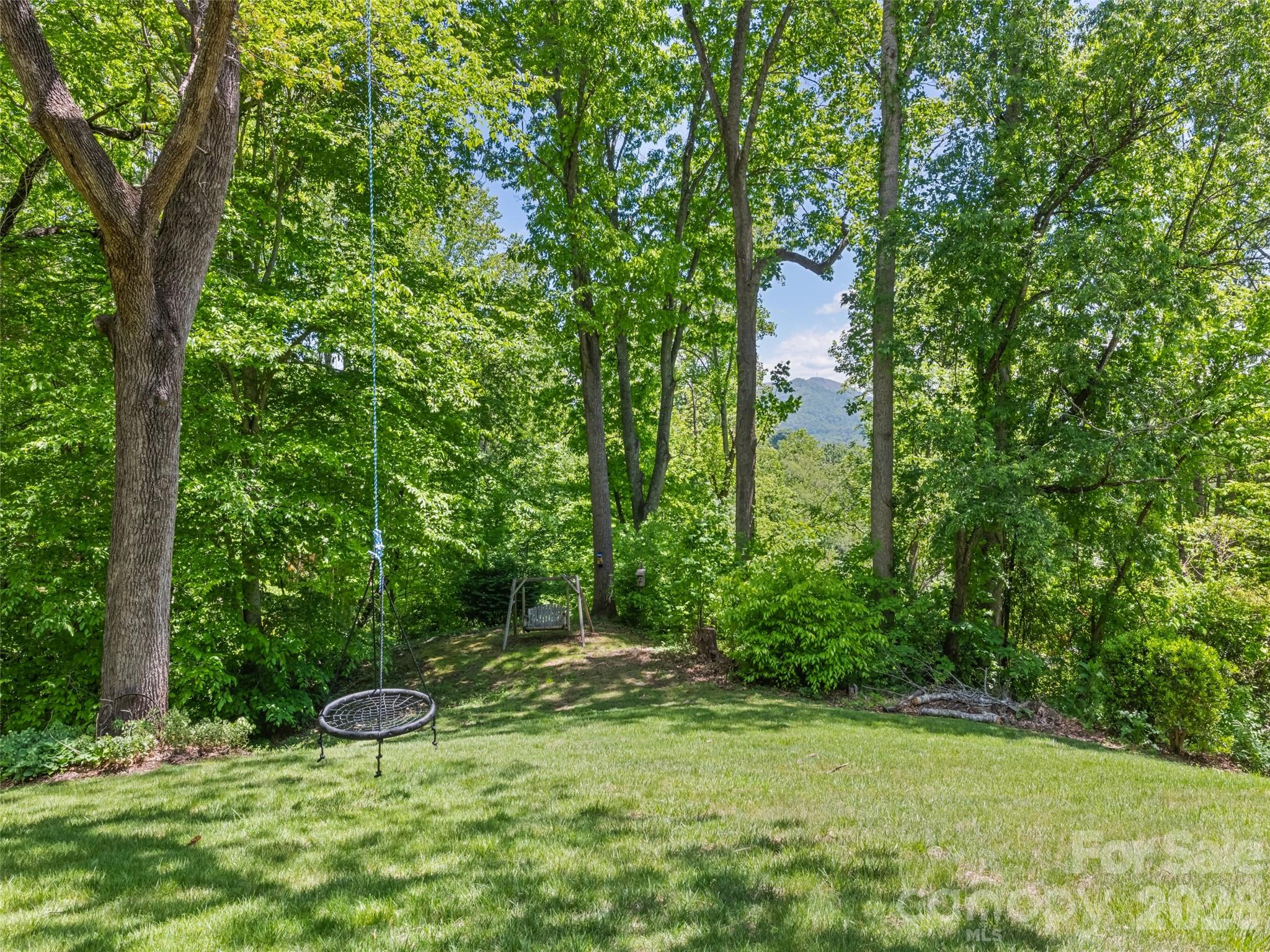 300 Kelley Springs Road Waynesville, NC 28786 - Photo 8 of 29