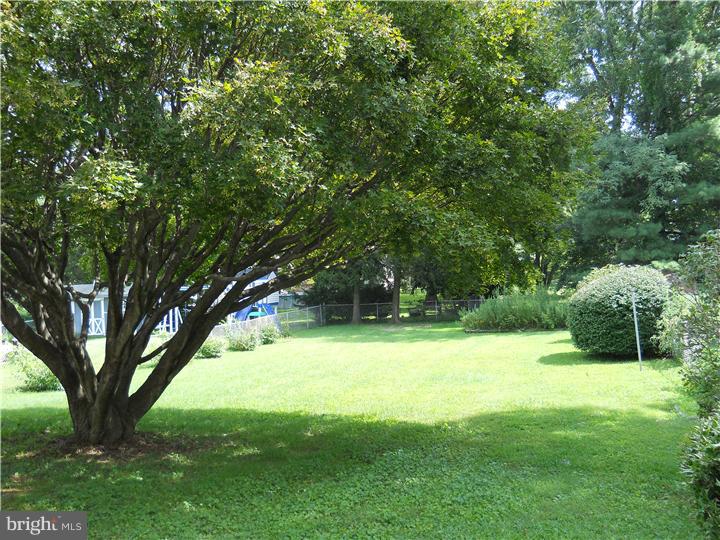 2407 Mill Road Boothwyn, PA 19061 - Photo 18 of 18 Back Yard
