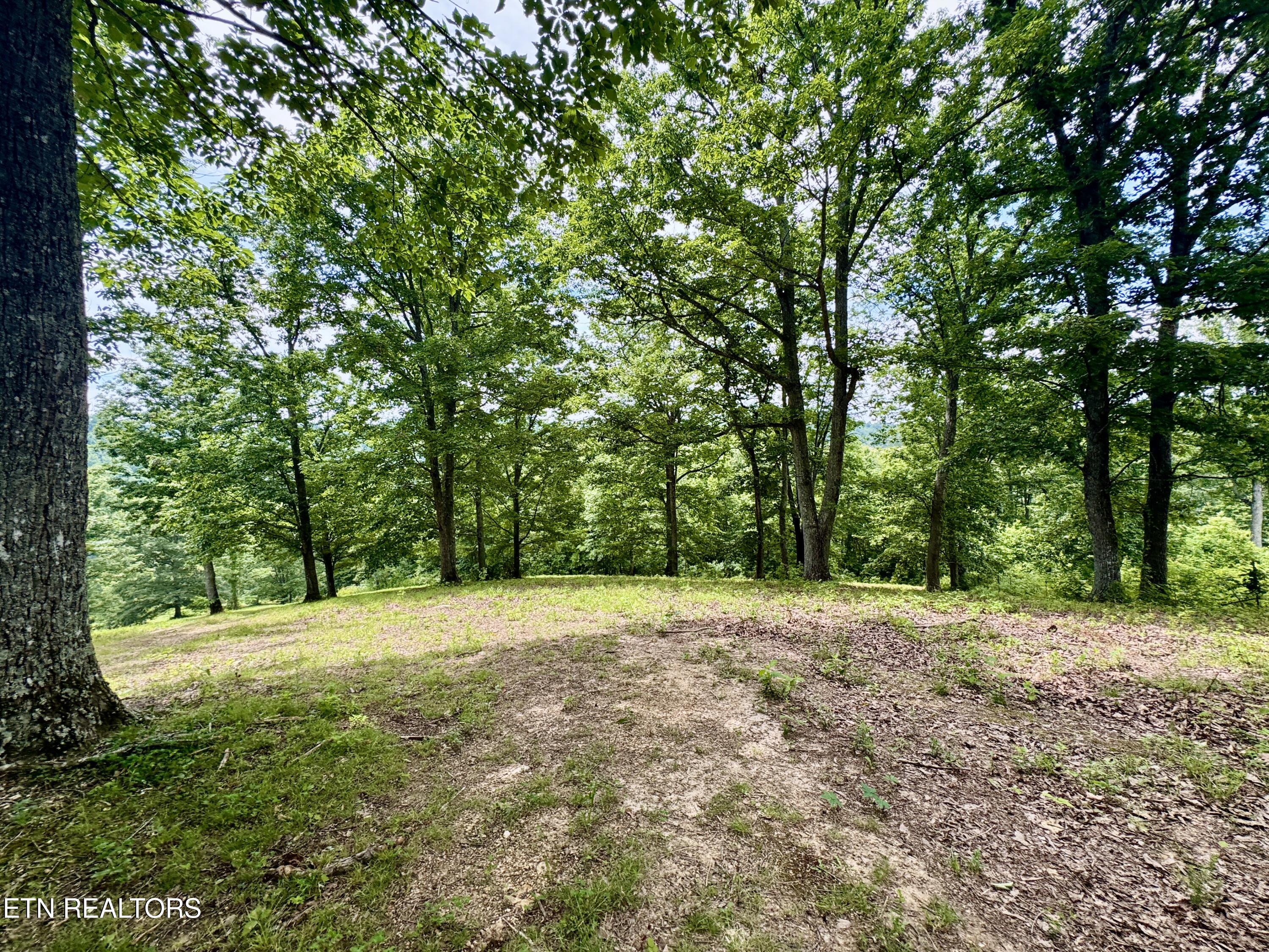 378 Johnson Hollow Road New Tazewell, TN 37825 - Photo 18 of 35 1-18