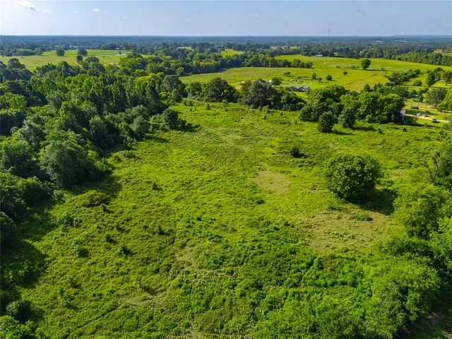a view of a lush green field