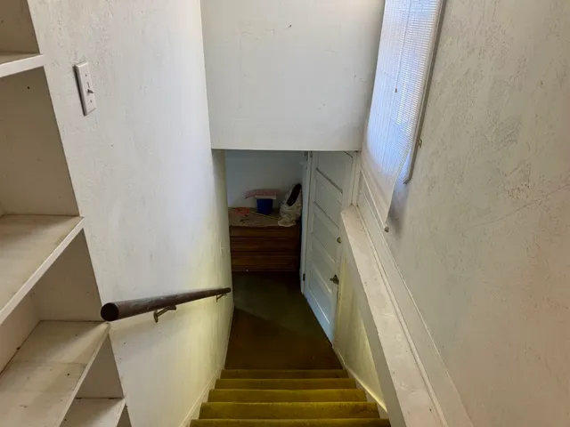 a view of a yard from a window