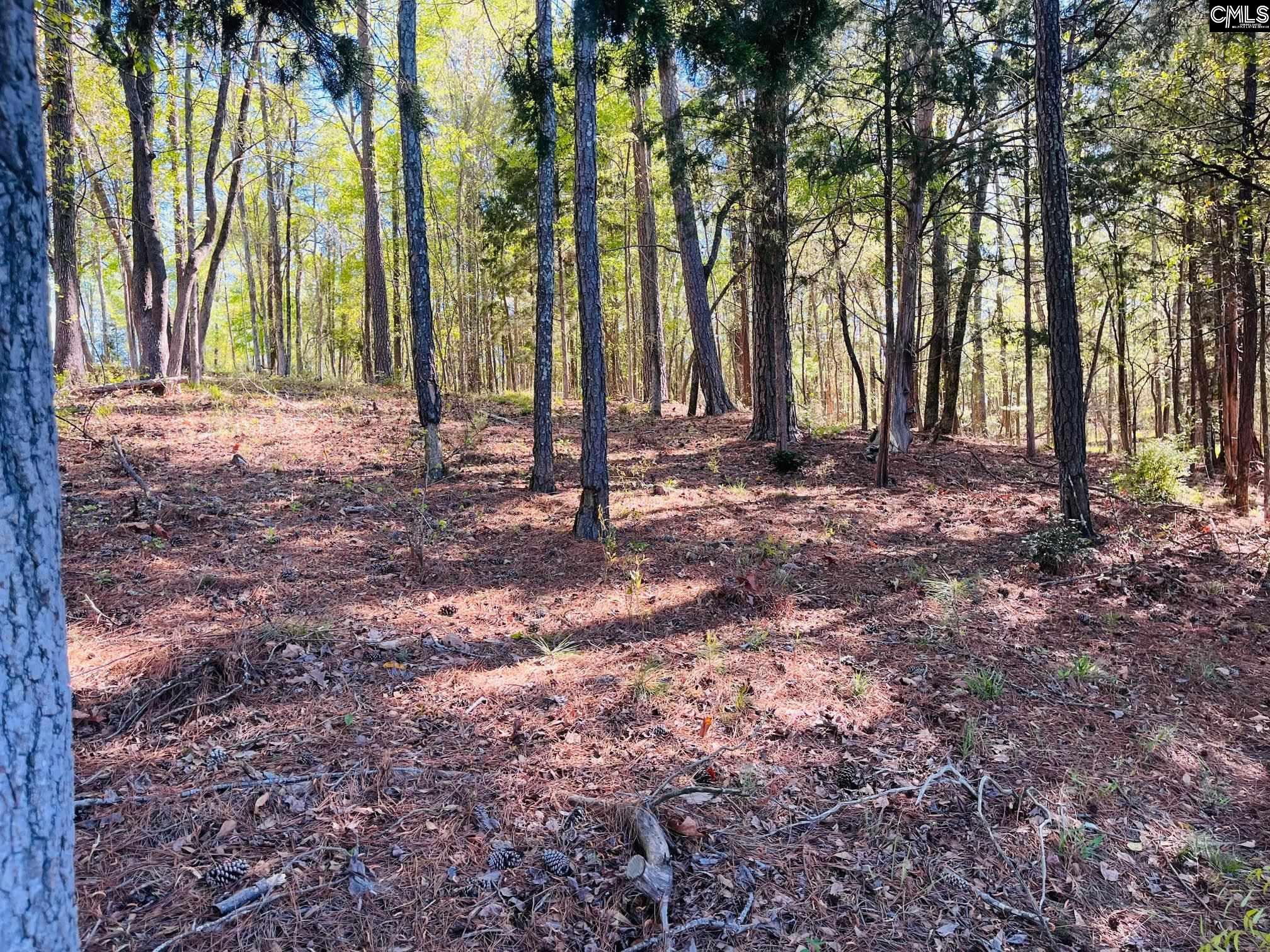 0 Lands End Lane Prosperity, SC 29127 - Photo 13 of 20
