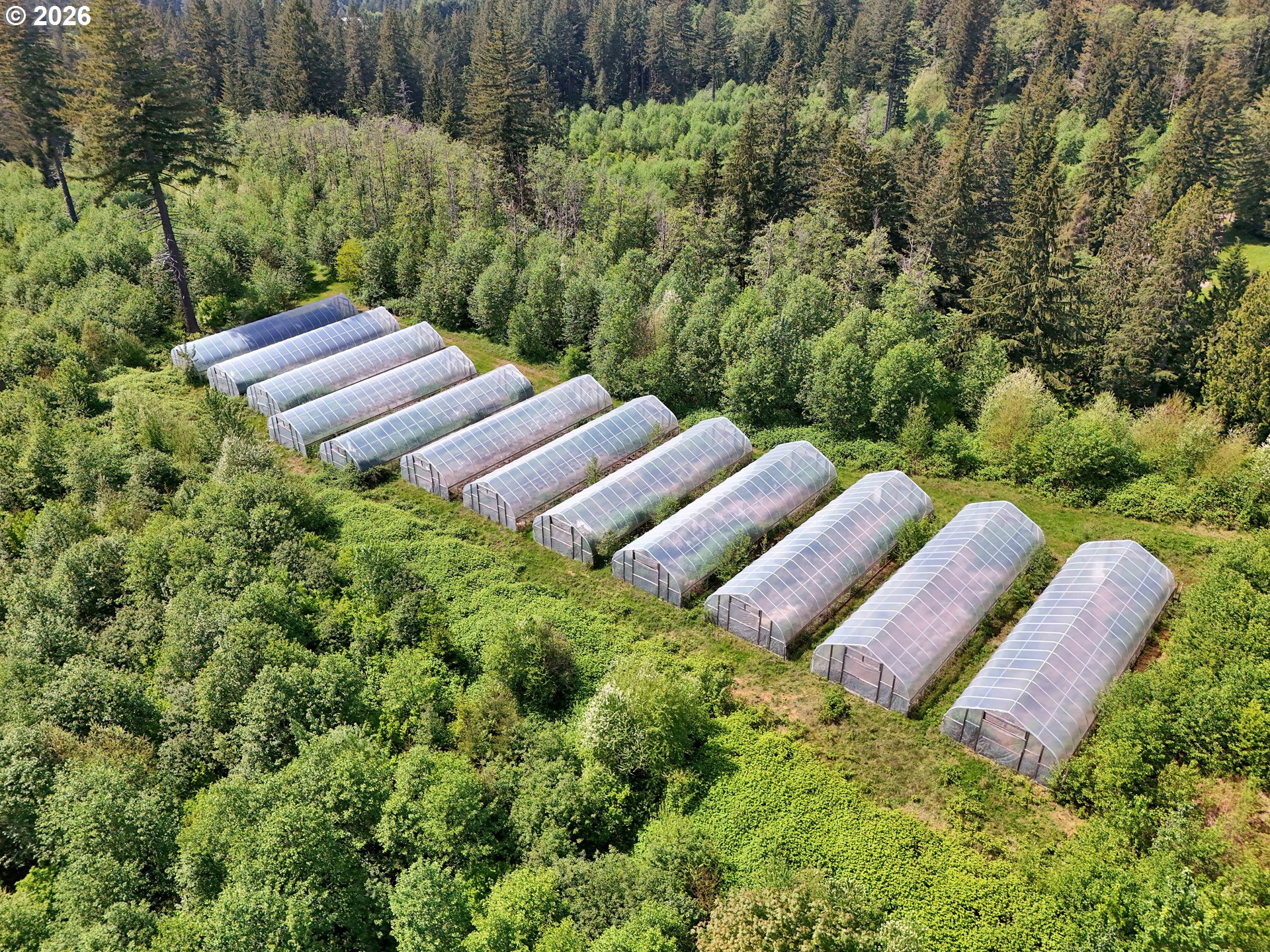 45900 East Haines Road Corbett, OR 97019 - Photo 34 of 38