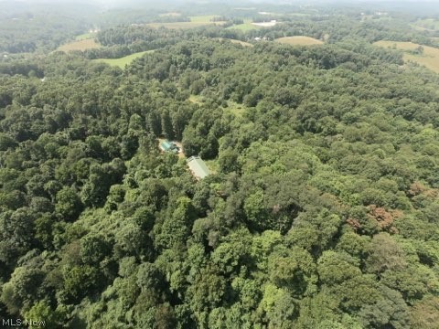 1047 Poinsettia Road Scio, OH 43988 - Photo 1 of 33 Aerial view of 117.56 acres