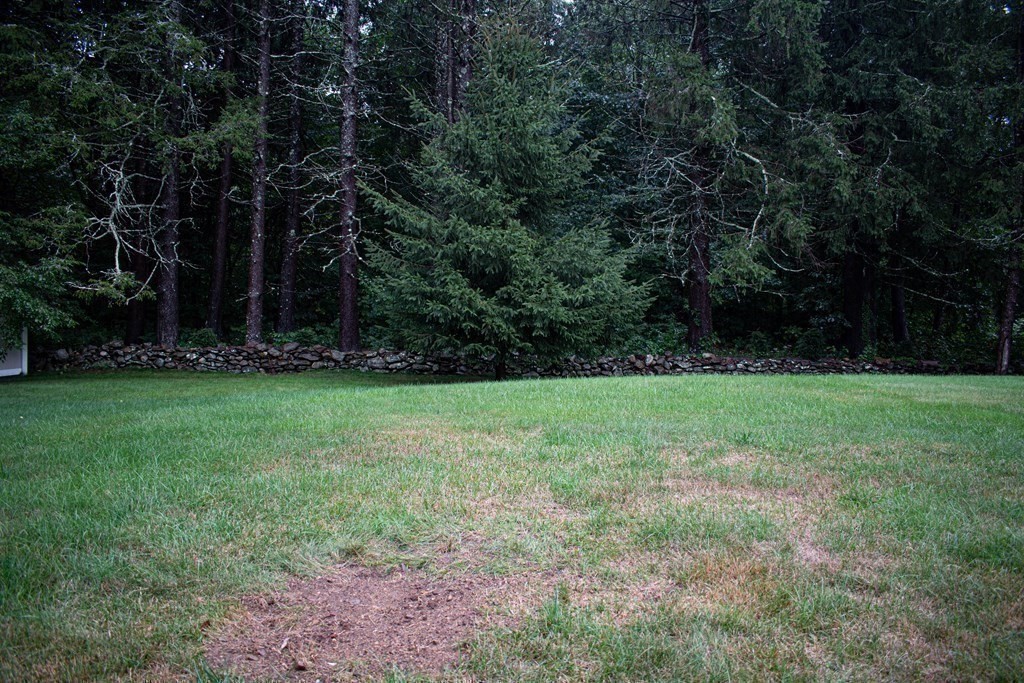 227 Turkey Hill Road Rutland, MA 01543 - Photo 28 of 30 a view of outdoor space with deck and yard