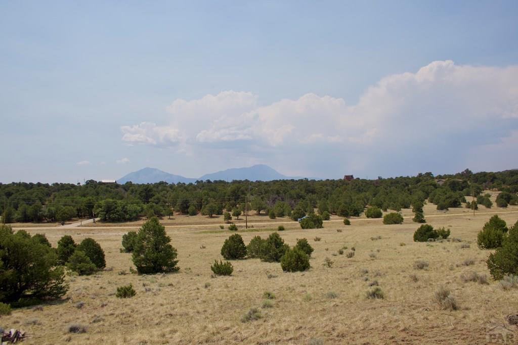 Unit #4 Unit Road Walsenburg, CO 81089 - Photo 12 of 36