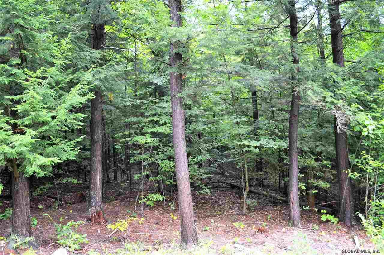 3 Diamond Ridge Road Diamond Point, NY 12824 - Photo 2 of 11 Photo 2