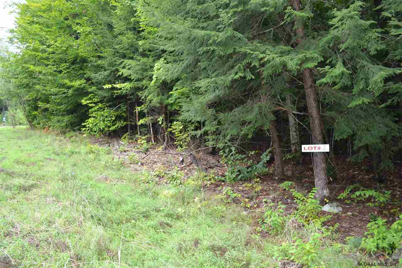 3 Diamond Ridge Road Diamond Point, NY 12824 - Photo 3 of 11 Photo 3