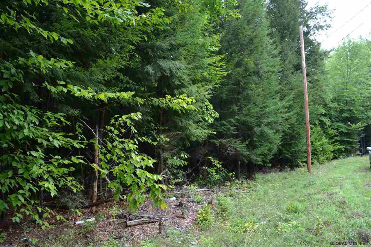 3 Diamond Ridge Road Diamond Point, NY 12824 - Photo 4 of 11 Photo 4