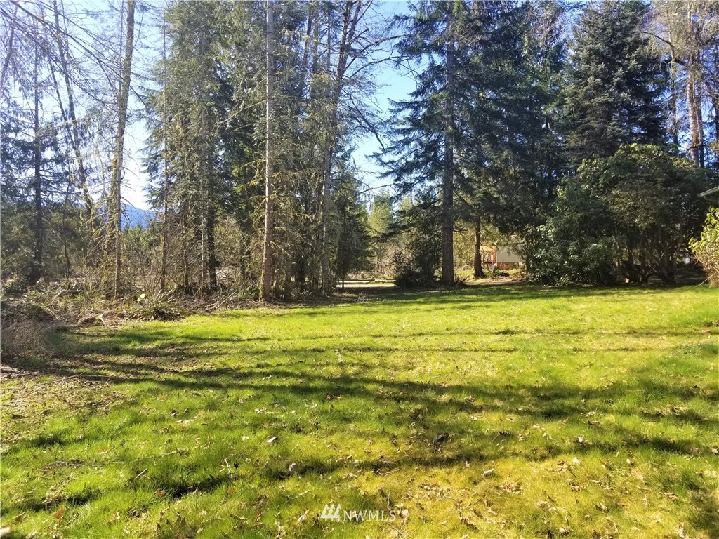 306-20 Kiona Road Randle, WA 98377 - Photo 7 of 22 Gallery Image 7