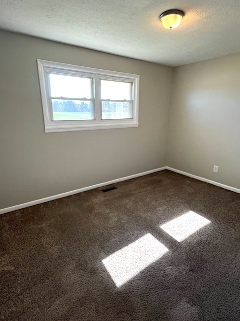 1291 Union Camp Road Lafayette, TN 37083 - Photo 21 of 28 a view of a window in an empty room