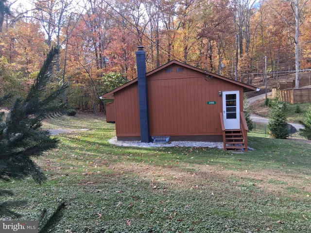 a view of a garden with large trees