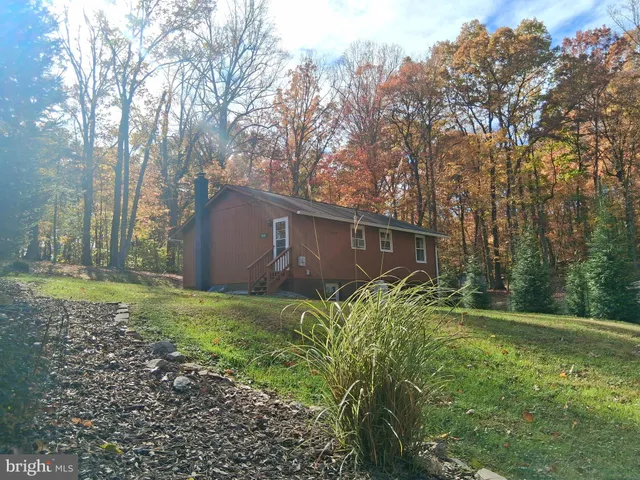 a view of a backyard with large trees and plants