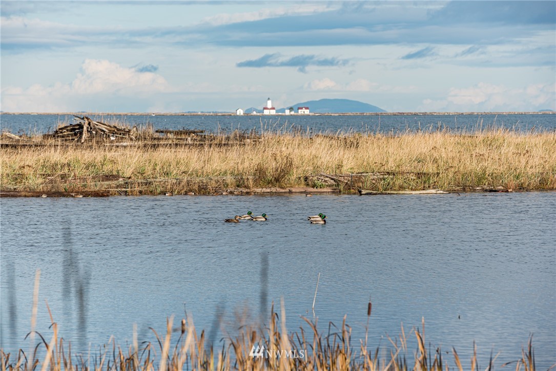 191 3 Crabs Road Sequim, WA 98382 - Photo 12 of 21