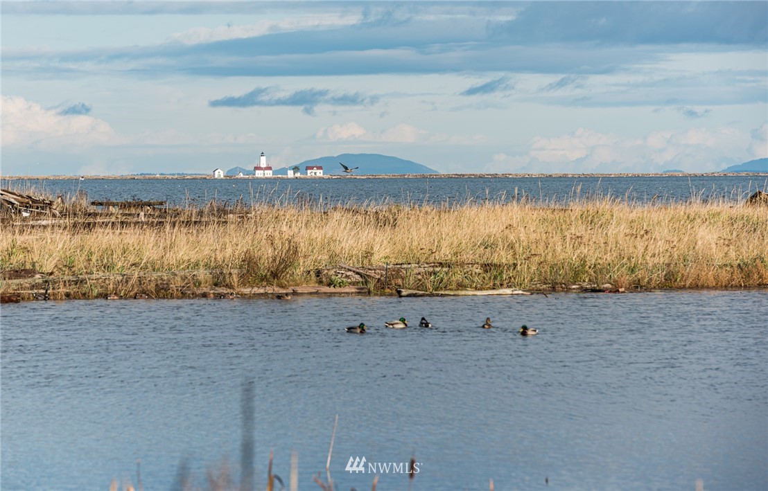 191 3 Crabs Road Sequim, WA 98382 - Photo 13 of 21