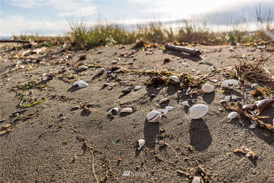 191 3 Crabs Road Sequim, WA 98382 - Photo 14 of 21