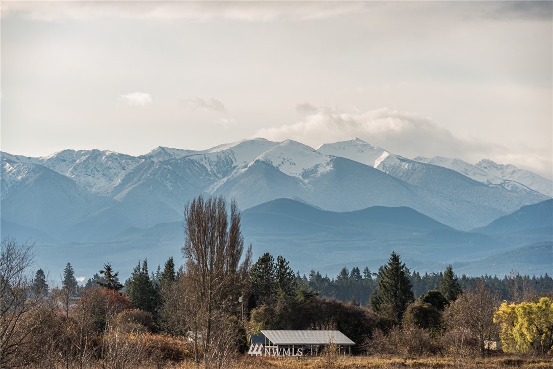 191 3 Crabs Road Sequim, WA 98382 - Photo 16 of 21