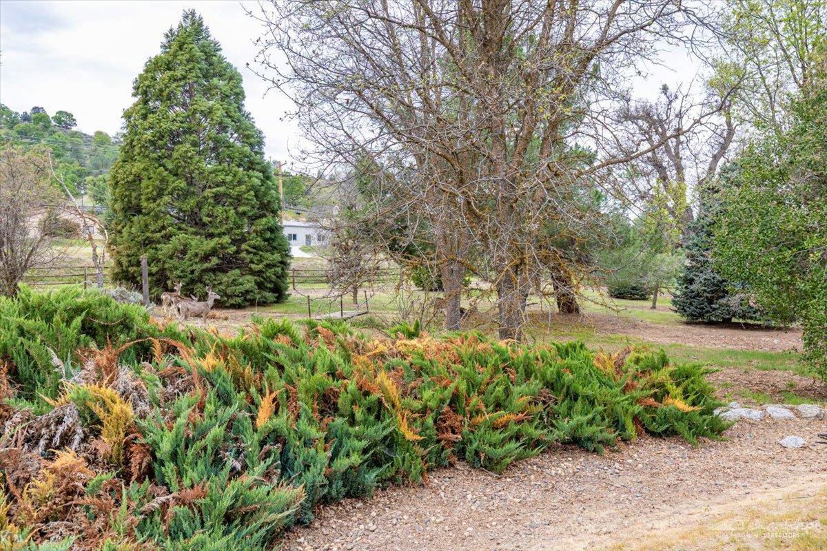 27931 Cumberland Road Tehachapi, CA 93561 - Photo 6 of 59 Gallery Image 6
