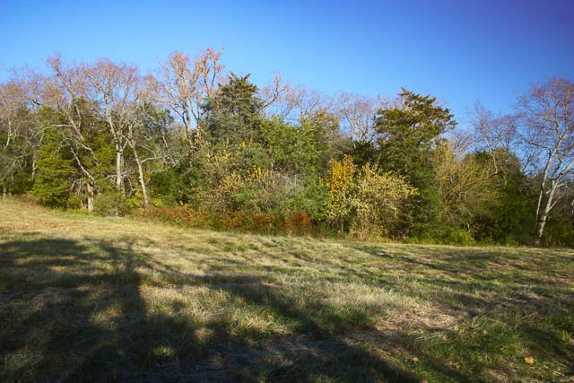 0 Peytonsville Road Franklin, TN 37064 - Photo 11 of 60